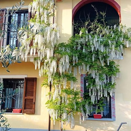 La Casa Dei Masue' Guest House Alba  Ngoại thất bức ảnh