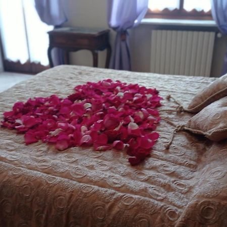La Casa Dei Masue' Guest House Alba  Ngoại thất bức ảnh