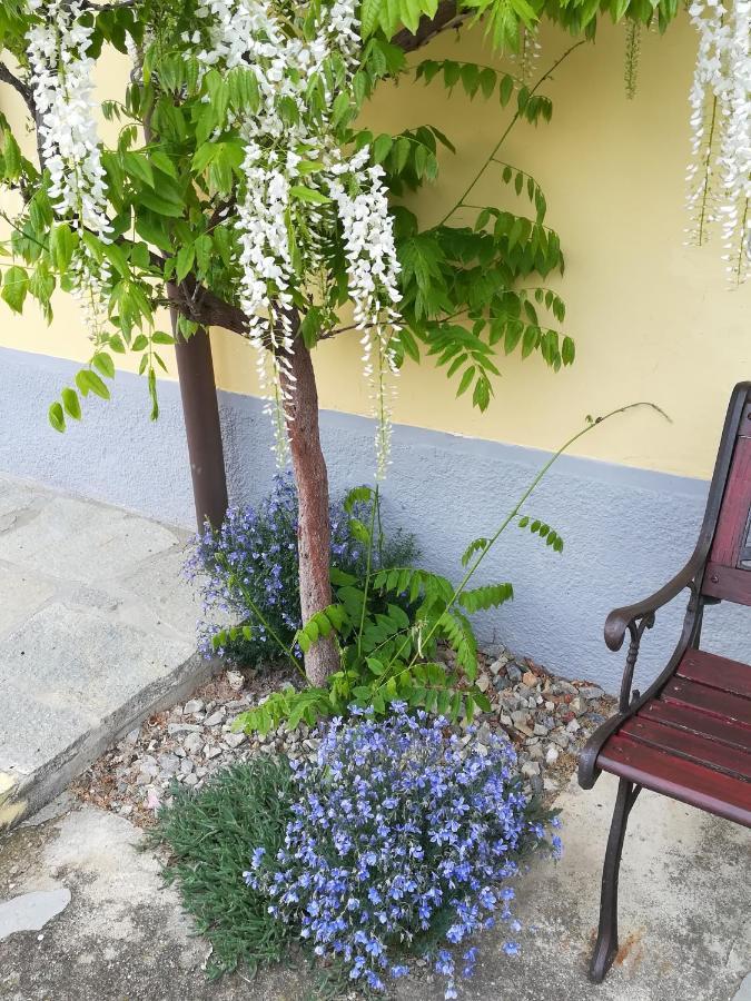 La Casa Dei Masue' Guest House Alba  Ngoại thất bức ảnh