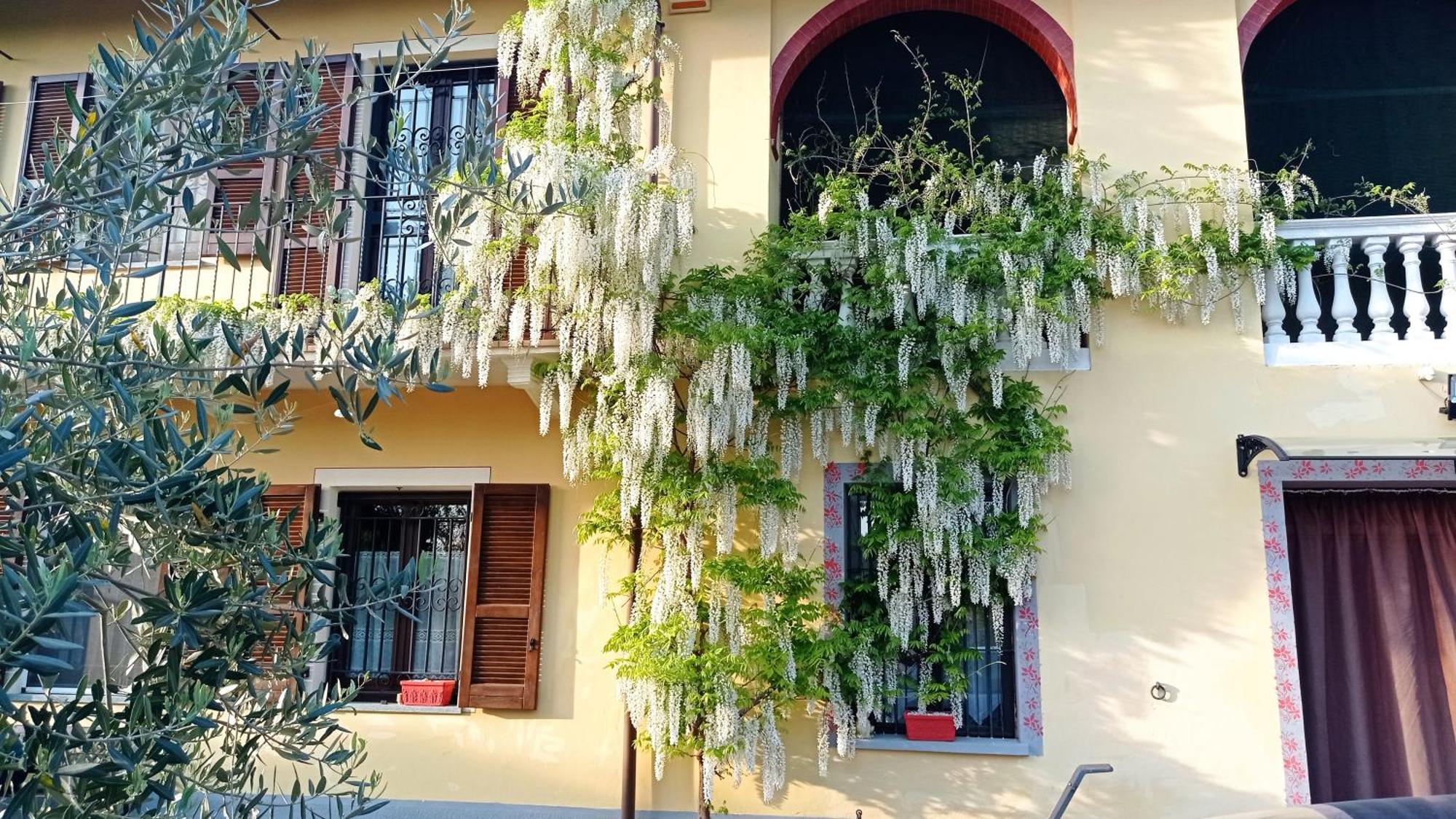 La Casa Dei Masue' Guest House Alba  Ngoại thất bức ảnh